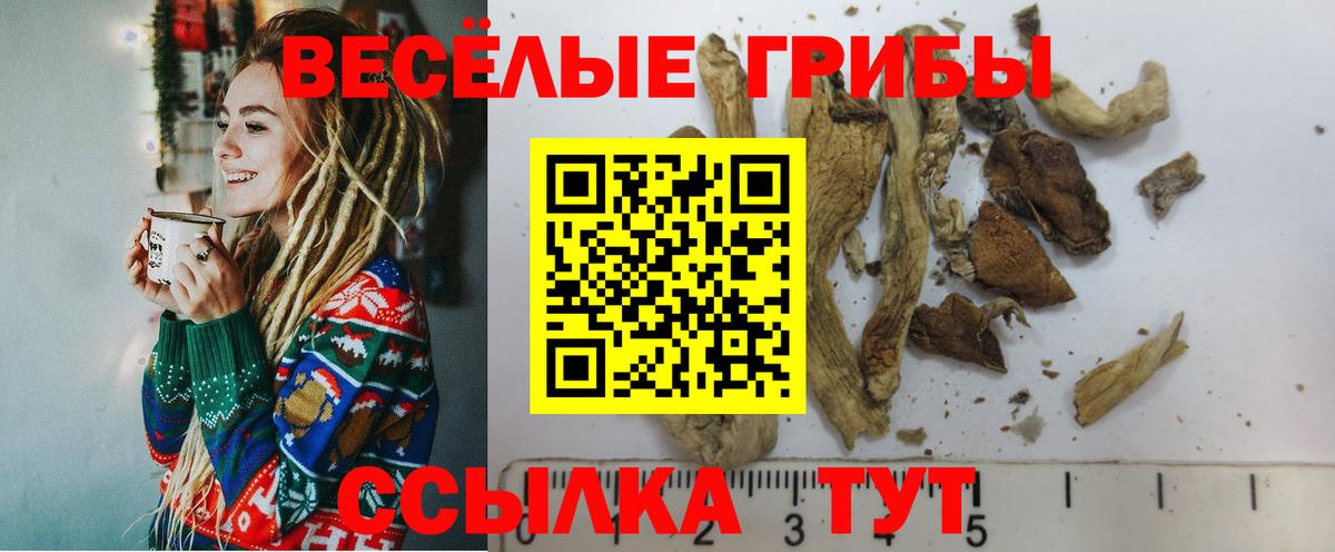 цена   Вход с VPN  Псилоцибиновые грибы GOLDEN TEACHER  Миасс  Галлюциногенные грибы ЛСД 