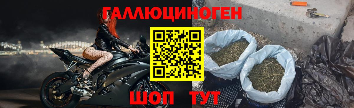 Галлюциногенные грибы мухоморы Миасс
